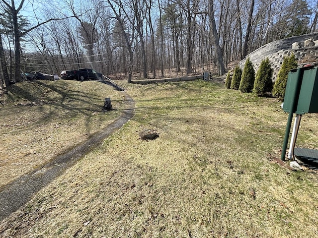 81 Shore Dr, Sabattus, ME 04280 - view of yard
