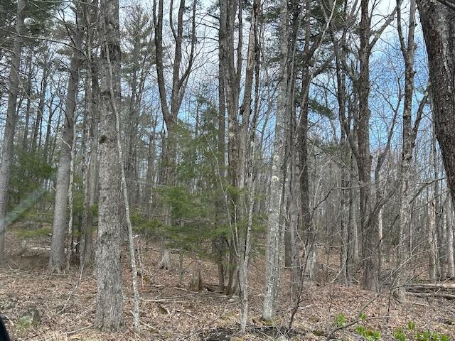 TBD Hooper Hill Rd, Waterboro, ME 04030