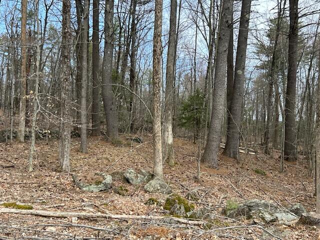 TBD Hooper Hill Rd, Waterboro, ME 04030