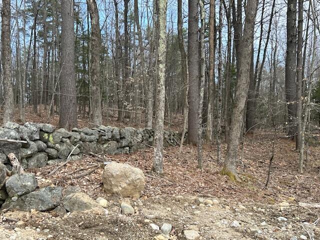 TBD Hooper Hill Rd, Waterboro, ME 04030