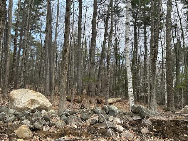 TBD Hooper Hill Rd, Waterboro, ME 04030