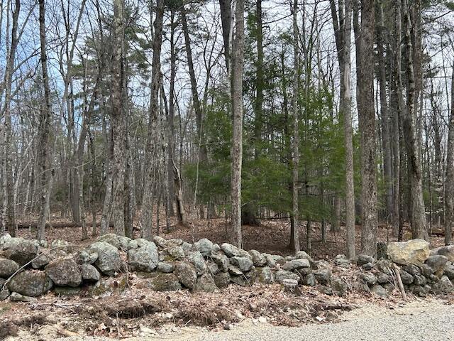 TBD Hooper Hill Rd, Waterboro, ME 04030