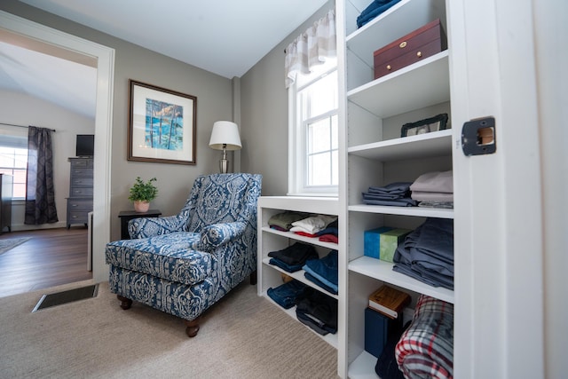 219 Middle Rd, Skowhegan, ME 04976 - sitting room with healthy amount of natural light, carpet floors, and lofted ceiling