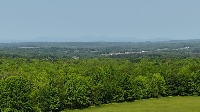 219 Middle Rd, Skowhegan, ME 04976 - view of mountain background featuring a forest