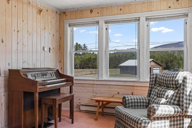 living area with a baseboard radiator, wooden walls, and carpet