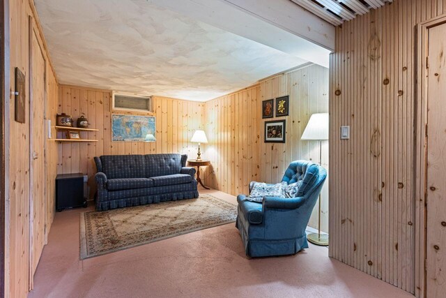 living area with wooden walls