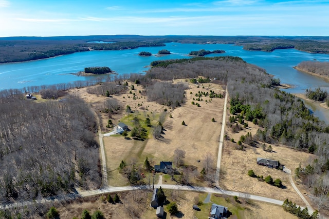 113 Wardwell Point Rd, Penobscot, ME 04476 - photo 64