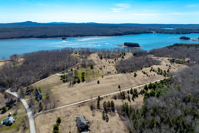 113 Wardwell Point Rd, Penobscot, ME 04476 - photo 66