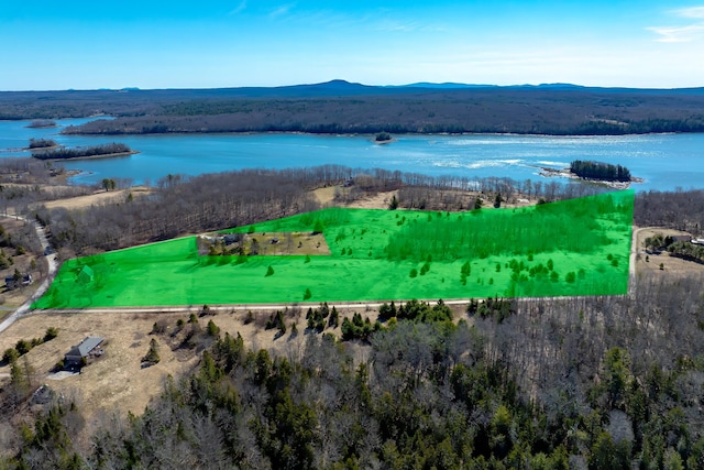 113 Wardwell Point Rd, Penobscot, ME 04476 - photo 67