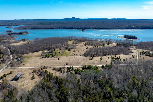 113 Wardwell Point Rd, Penobscot, ME 04476 - photo 68