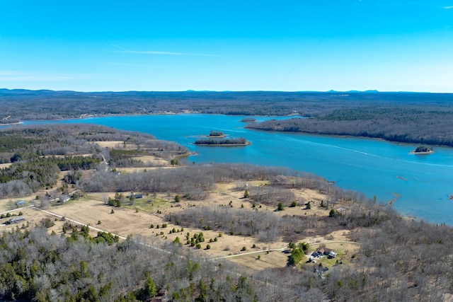 113 Wardwell Point Rd, Penobscot, ME 04476 - photo 69