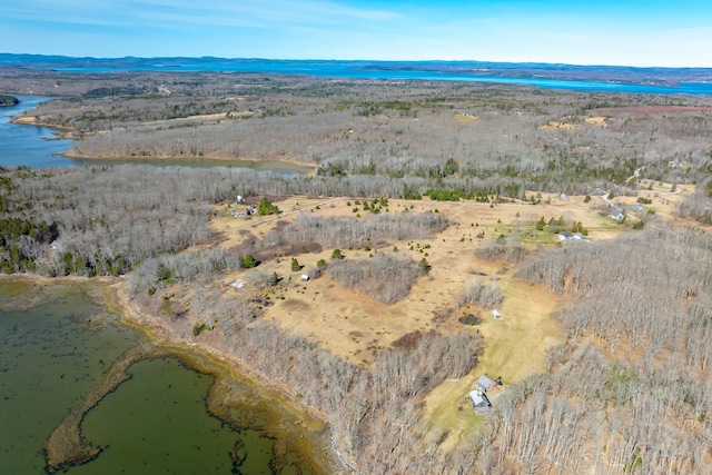 113 Wardwell Point Rd, Penobscot, ME 04476 - photo 73