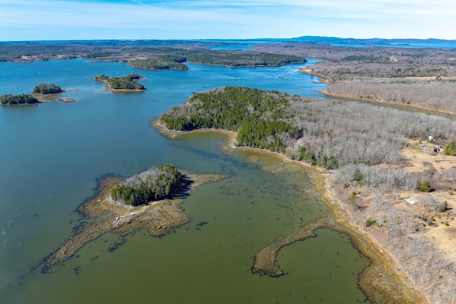 113 Wardwell Point Rd, Penobscot, ME 04476 - photo 74
