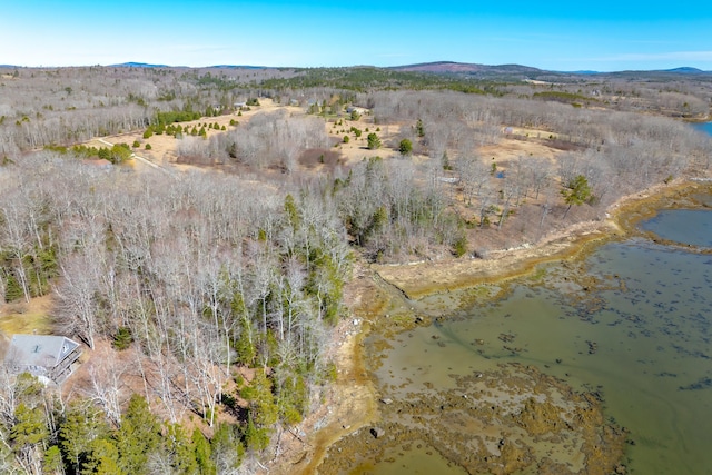 113 Wardwell Point Rd, Penobscot, ME 04476 - photo 75