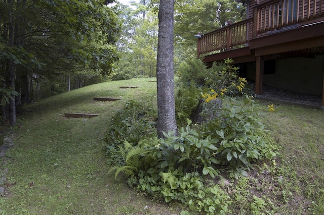 view of yard featuring a deck