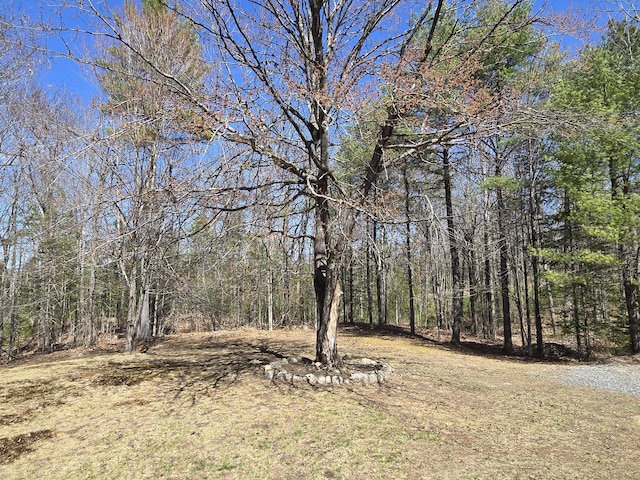 view of local wilderness featuring a view of trees