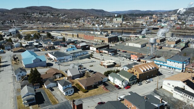 drone / aerial view featuring a mountain view