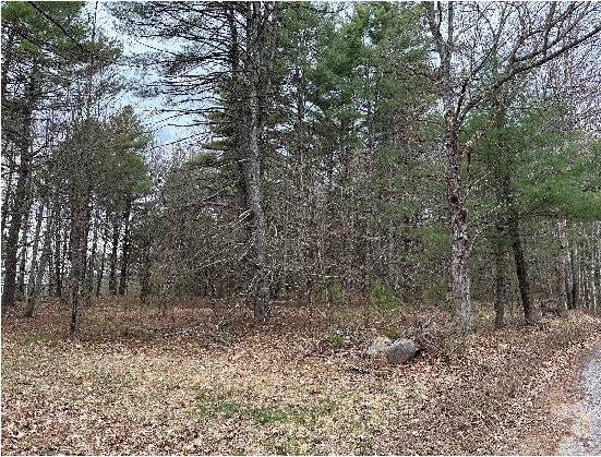 LOT87-1-2 Drown Rd, Alfred, ME 04002 - view of nature