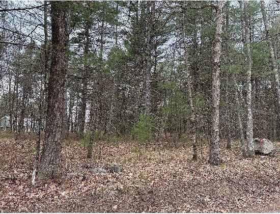 LOT87-1-2 Drown Rd, Alfred, ME 04002 - view of local wilderness