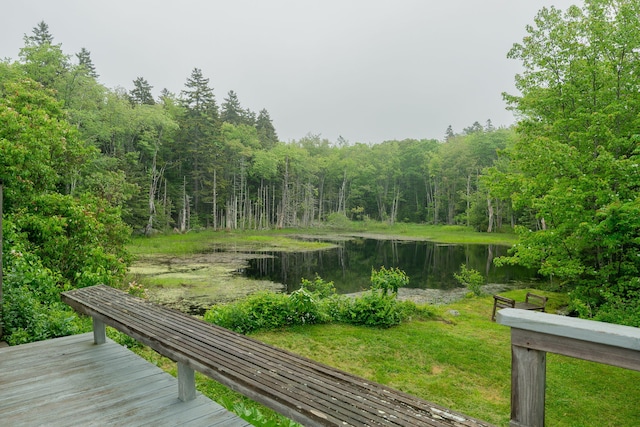 228 Atlantic Ave, Boothbay Harbor, ME 04538 - view of yard featuring a water view and a view of trees