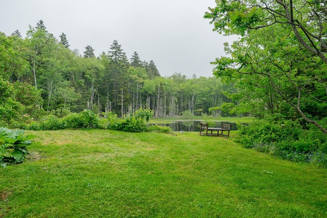 228 Atlantic Ave, Boothbay Harbor, ME 04538 - view of green lawn featuring a forest view