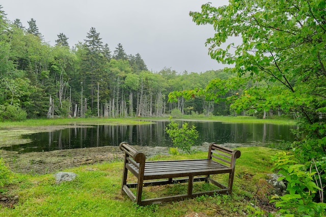 228 Atlantic Ave, Boothbay Harbor, ME 04538 - view of community with a view of trees and a water view