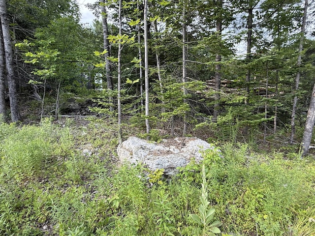 498 Morrill Rd, Winslow, ME 04901 - photo 4