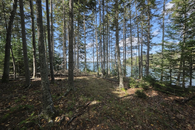 view of local wilderness