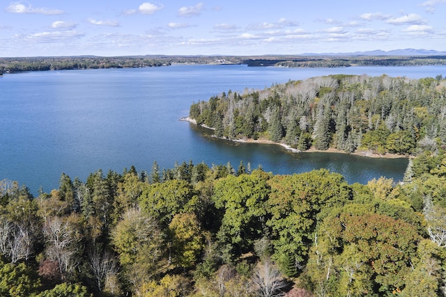 bird's eye view featuring a water and mountain view and a view of trees