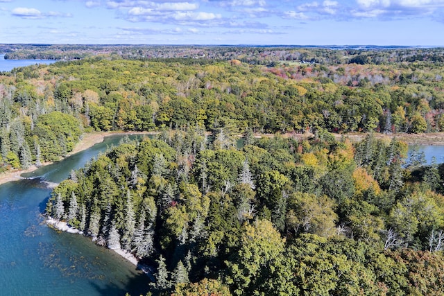 drone / aerial view with a water view and a wooded view