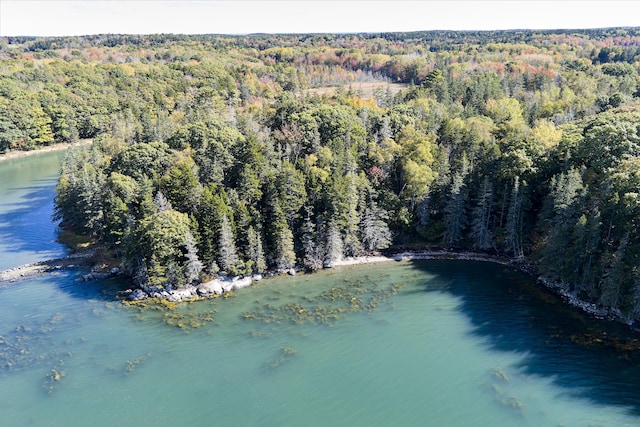 aerial view with a water view and a wooded view