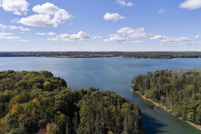 aerial view with a view of trees and a water view