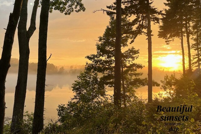 view of nature at dusk