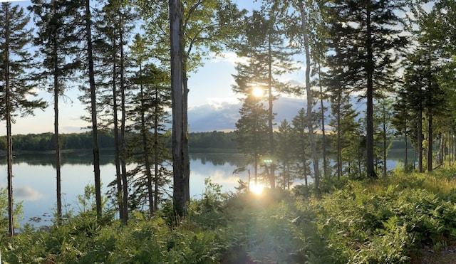 view of water feature with a view of trees