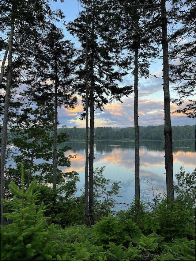 property view of water