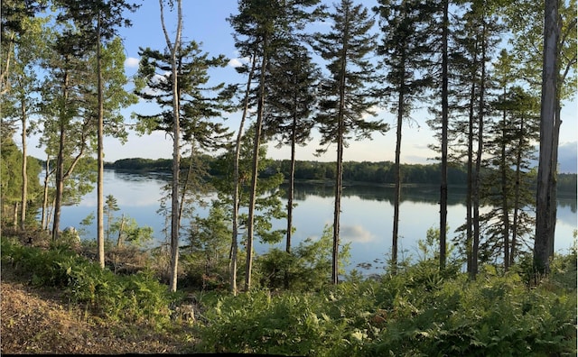 view of water feature with a wooded view