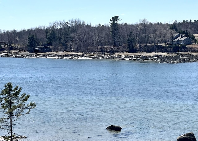 property view of water featuring a forest view