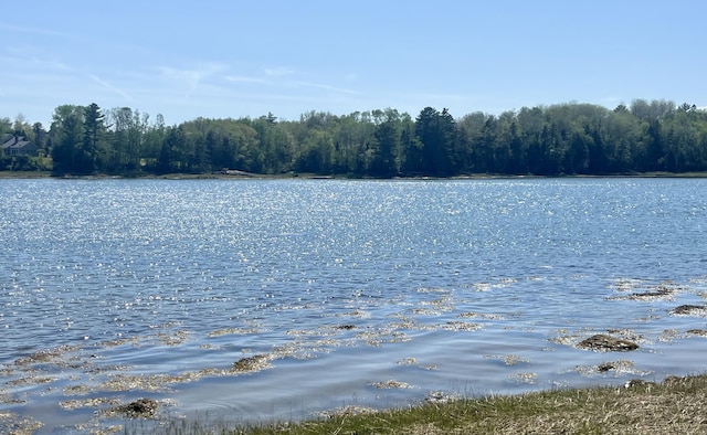 52 Boulder Cove Way, Lamoine, ME 04605 - water view featuring a heavily wooded area