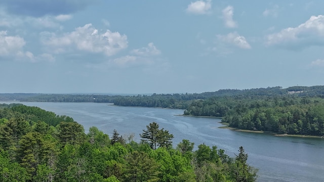 52 Boulder Cove Way, Lamoine, ME 04605 - water view featuring a heavily wooded area