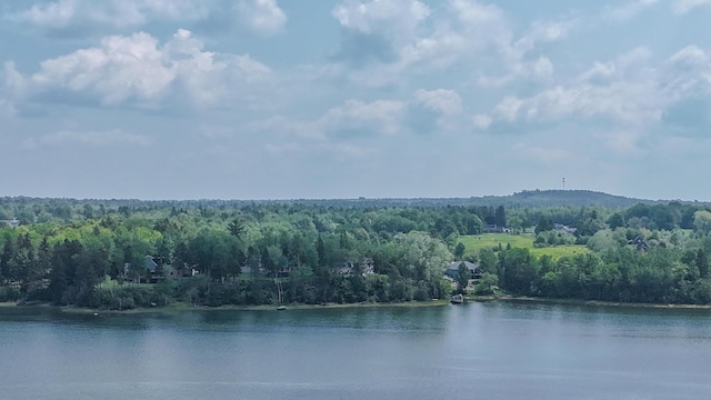 52 Boulder Cove Way, Lamoine, ME 04605 - water view featuring a forest