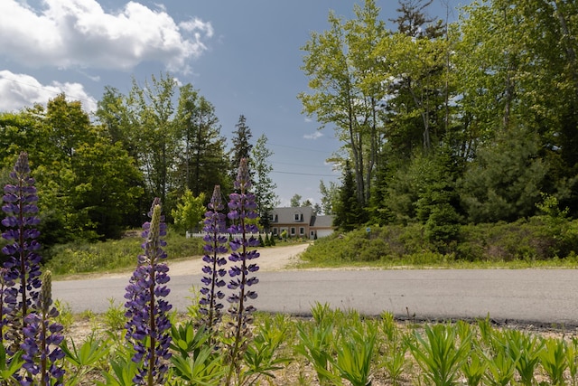 52 Boulder Cove Way, Lamoine, ME 04605 - view of road