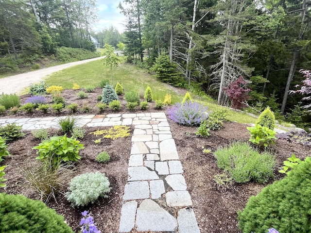 52 Boulder Cove Way, Lamoine, ME 04605 - view of yard