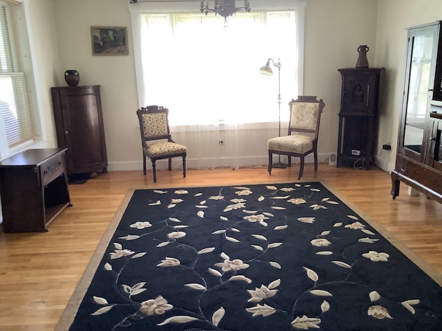 living area with wood finished floors, a healthy amount of sunlight, and baseboards
