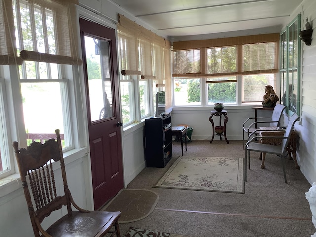 sunroom with carpet, baseboards, and a wealth of natural light
