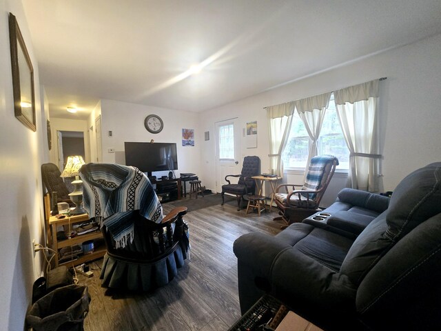 living area featuring dark wood-type flooring