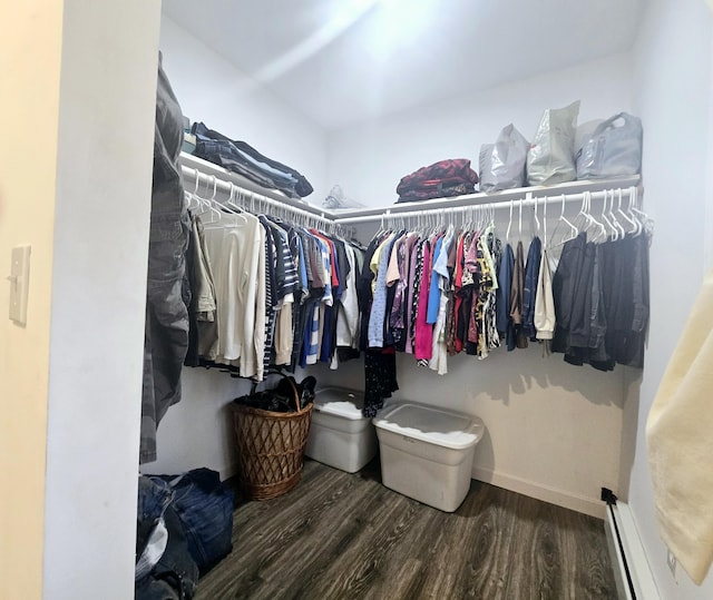 walk in closet featuring a baseboard radiator and wood finished floors
