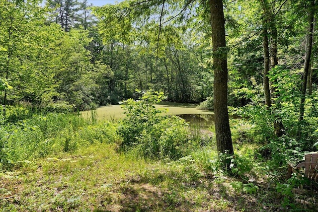 95 The Woods Rd, Union, ME 04862 - view of wooded area