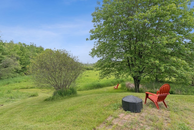 1228 Long Plains Rd, Buxton, ME 04093 - view of grassy yard