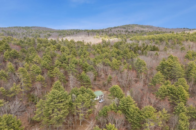 mountain view with a forest view