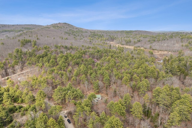 mountain view with a view of trees